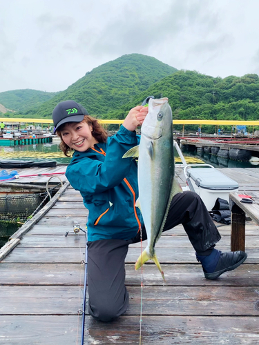 メジロの釣果