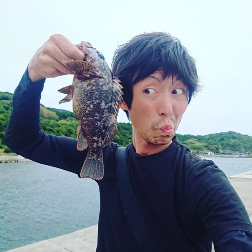 ムラソイの釣果