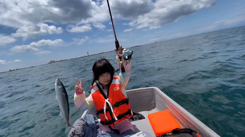 カタクチイワシの釣果