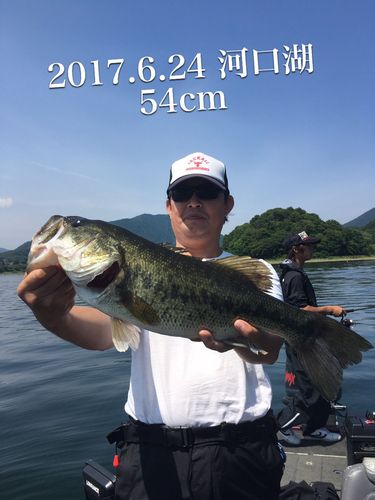 ブラックバスの釣果