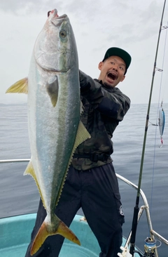 ブリの釣果