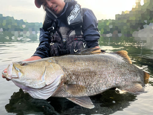 アカメの釣果