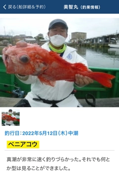 ベニアコウの釣果