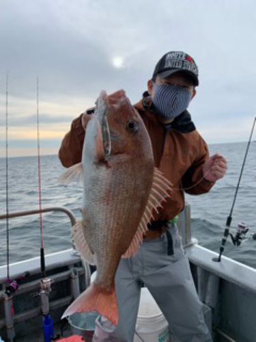 マダイの釣果