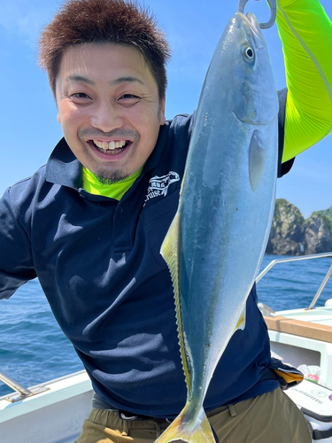 ヤズの釣果