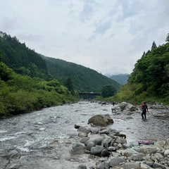 アユの釣果