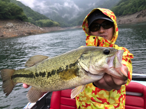 ラージマウスバスの釣果