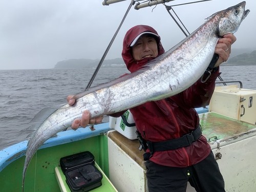 タチウオの釣果