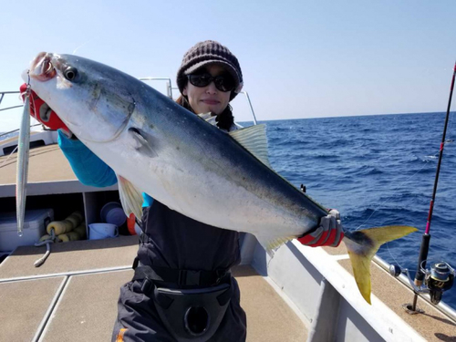 ヒラマサの釣果