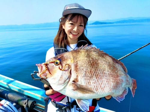 マダイの釣果