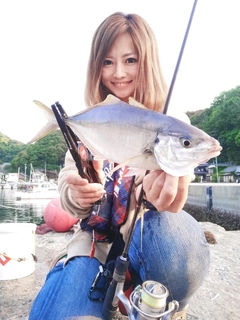 シマアジの釣果