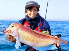 アマダイの釣果