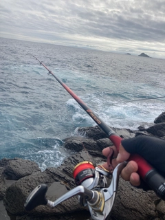 クロの釣果