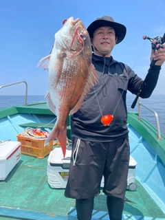 マダイの釣果