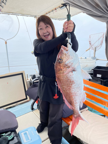 マダイの釣果