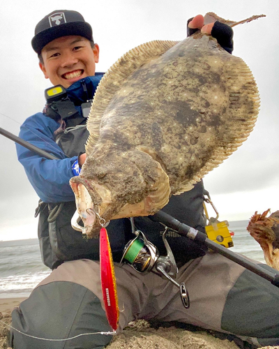 ヒラメの釣果