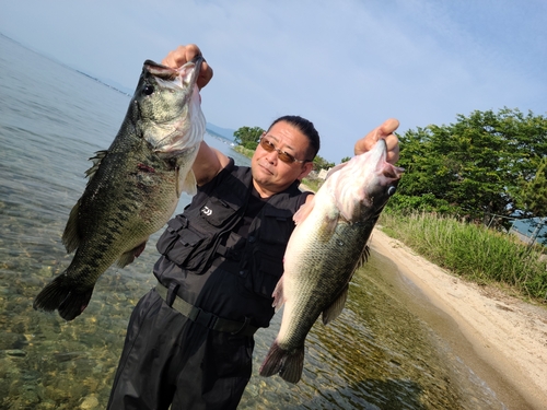 ブラックバスの釣果