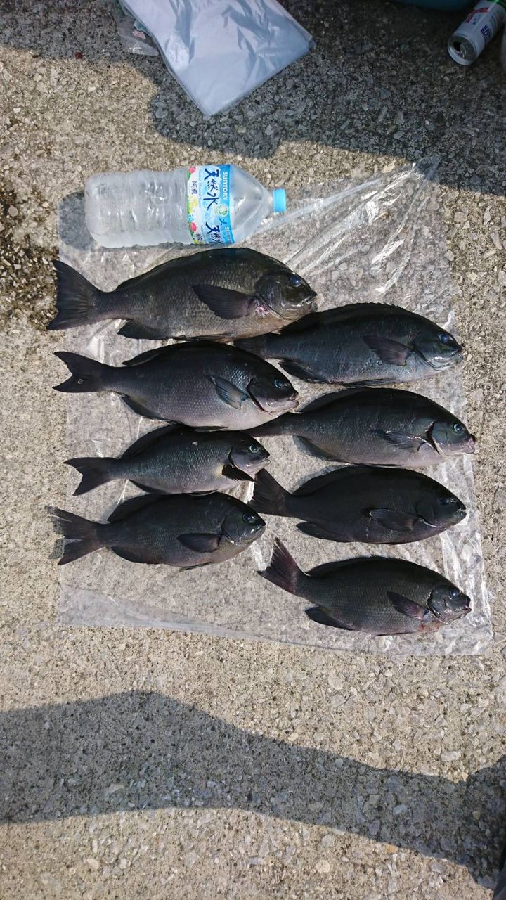 O2さんの釣果 2枚目の画像