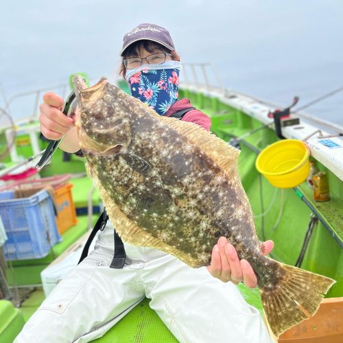 ヒラメの釣果