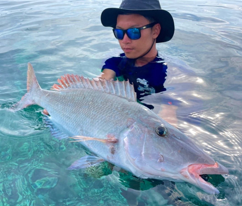 ムネアカクチビの釣果