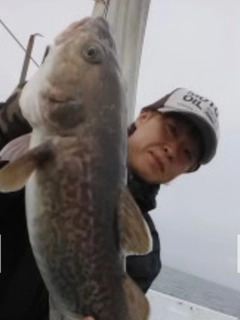 タラの釣果