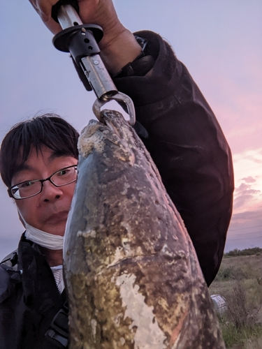 ライギョの釣果