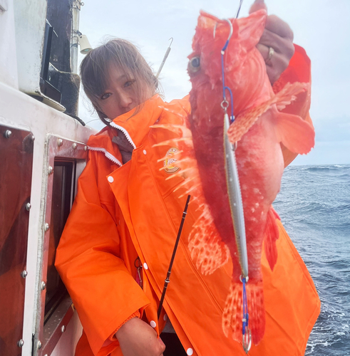 オニカサゴの釣果