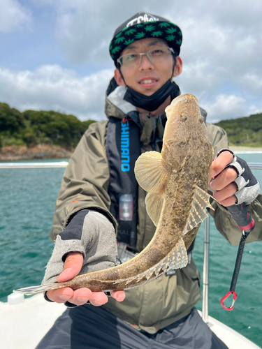 マゴチの釣果