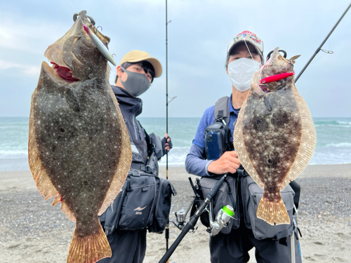 ヒラメの釣果