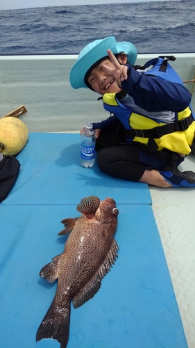 オオモンハタの釣果