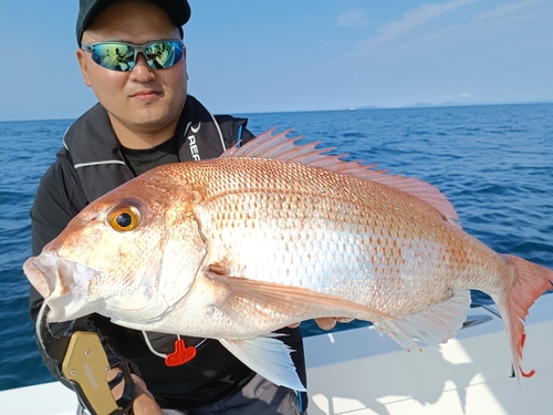 マダイの釣果