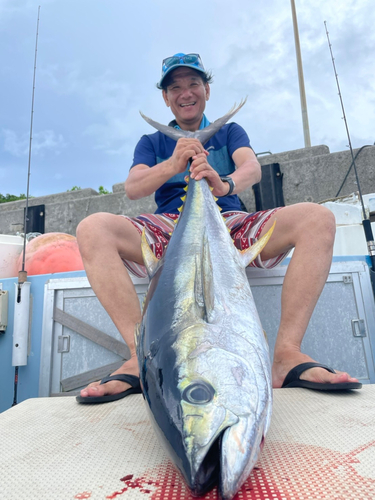 キハダマグロの釣果