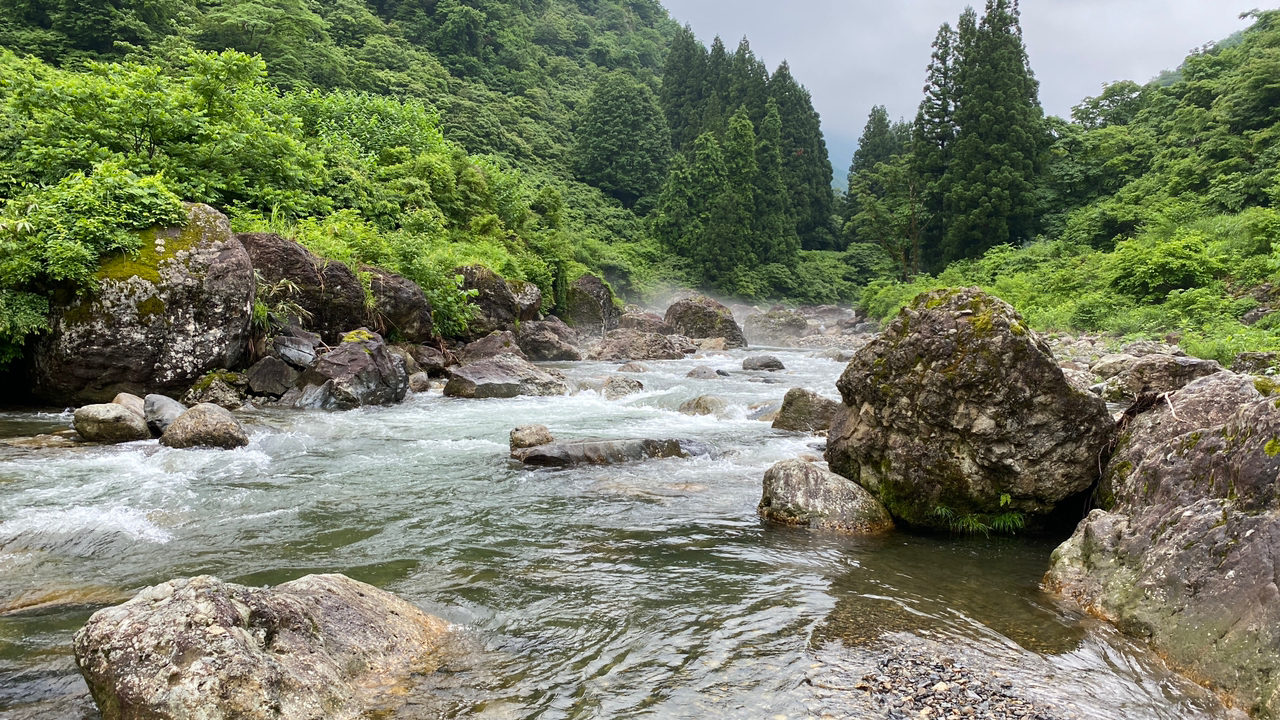 イワナ