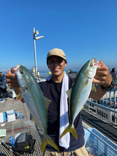 ハマチの釣果