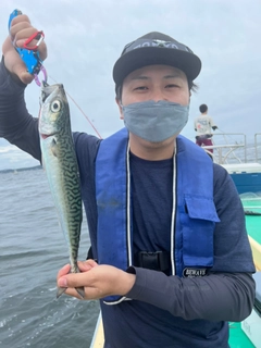 サバの釣果