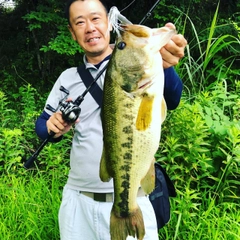 ブラックバスの釣果