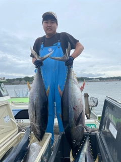 キハダマグロの釣果