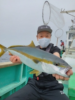 ヒラマサの釣果