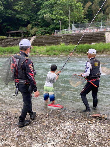 ヤマメの釣果