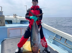 クロマグロの釣果