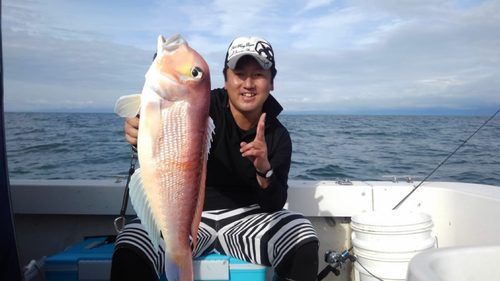 アマダイの釣果