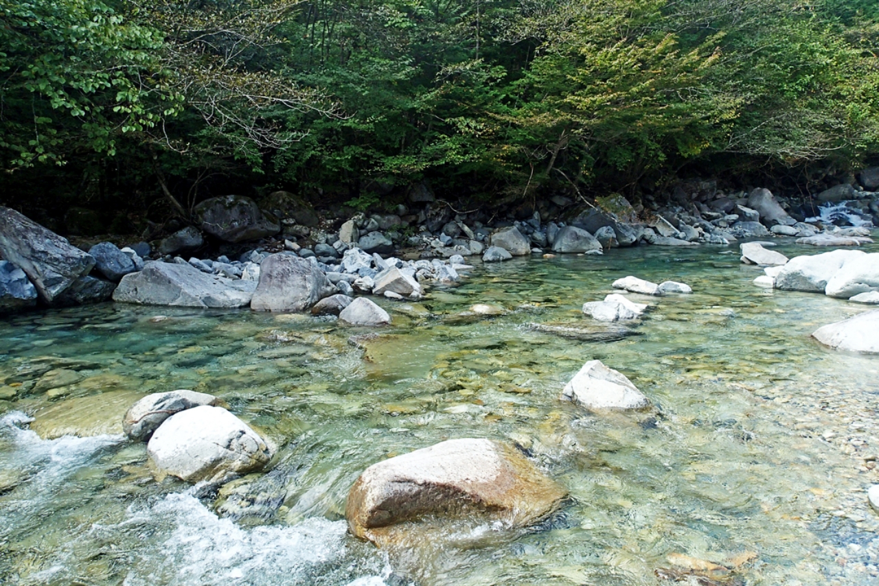 イワナ