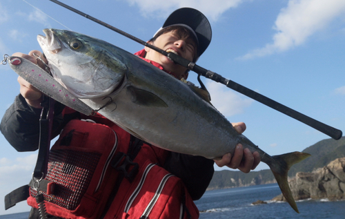 ヤズの釣果