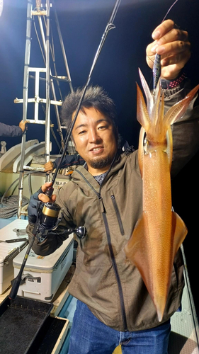 ケンサキイカの釣果