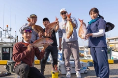 マダイの釣果