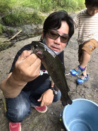 ニジマスの釣果