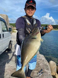 オニカマスの釣果