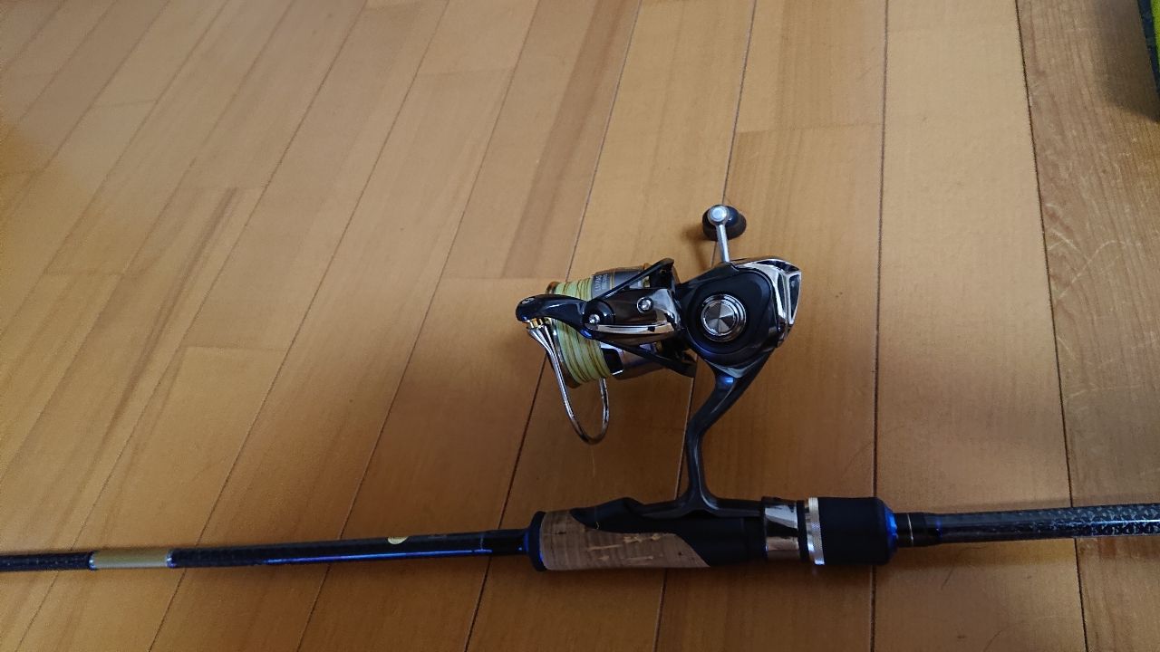 クロダイ
