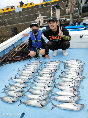 ハガツオの釣果