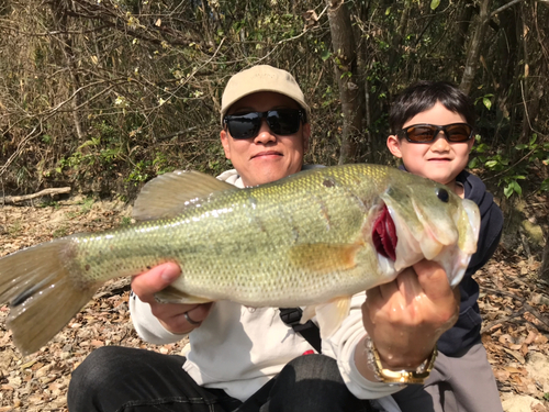 ブラックバスの釣果